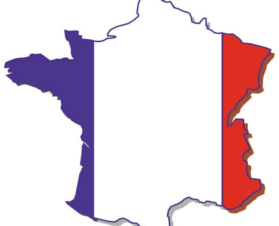 Francais langue etrangere (fle) niveau b1