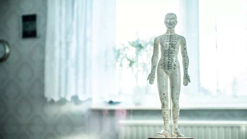 L'essentiel de la naturopathie